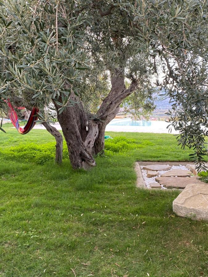 فندق Casa Delle Sirene Nto Principe فالكوني المظهر الخارجي الصورة
